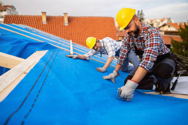 Best Roof Maintenance Services  in Meggett, SC