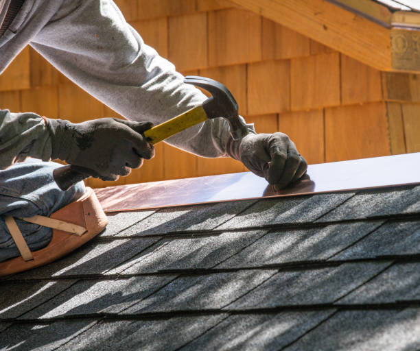Best Local Roofing Companies  in Meggett, SC